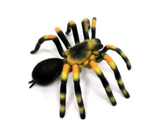 Obrázek z Figurka Pavouk Sklípkan smithův 11cm 